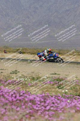 media/Feb-04-2023-SoCal Trackdays (Sat) [[8a776bf2c3]]/Turn 15 Inside Blooming (1050am)/